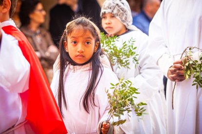 Procesión de la borriquilla en el Domingo de Ramos. MARIO TEJEDOR (49)