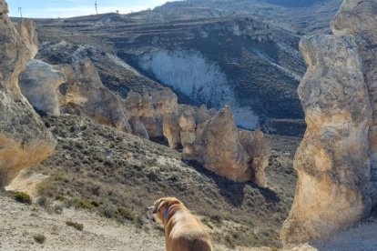 Espectaculares formaciones calcáreas en 'la Capadocia soriana', junto al pueblo de Aguaviva de la Vega.