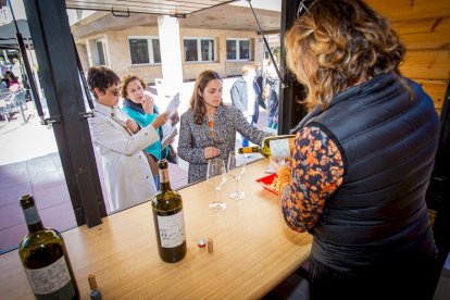 Casetas de la DO Ribera del Duero en el Espolón. MARIO TEJEDOR (1)