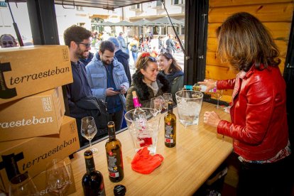 Casetas de la DO Ribera del Duero en el Espolón. MARIO TEJEDOR (5)