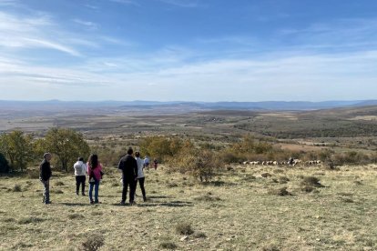 Las fotos de la jornada de la trashumancia en Castilfrío (2)