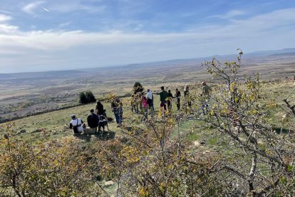 Las fotos de la jornada de la trashumancia en Castilfrío (21)