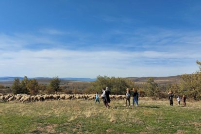 Las fotos de la jornada de la trashumancia en Castilfrío (29)