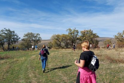 Las fotos de la jornada de la trashumancia en Castilfrío (30)