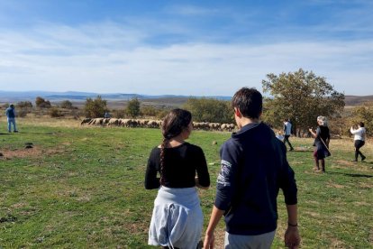 Las fotos de la jornada de la trashumancia en Castilfrío (34)