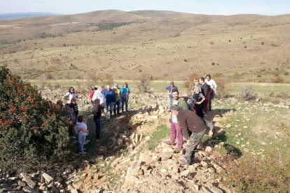 Las fotos de la jornada de la trashumancia en Castilfrío (37)