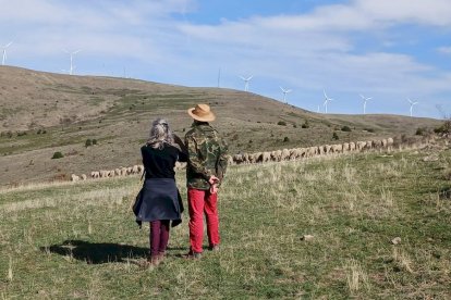 Las fotos de la jornada de la trashumancia en Castilfrío (45)