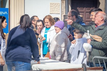 La Operación Bocata de Manos Unidas. MARIO TEJEDOR (3)