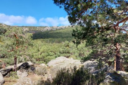 Ruta de las cascadas de Duruelo de la Sierra (Soria). HDS