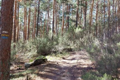 Ruta de las cascadas de Duruelo de la Sierra (Soria). HDS