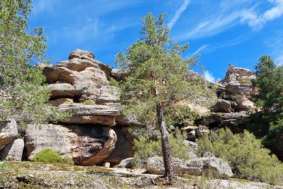 Ruta de las cascadas de Duruelo de la Sierra (Soria). HDS