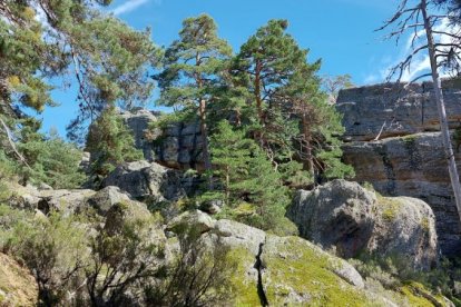 Ruta de las cascadas de Duruelo de la Sierra (Soria). HDS