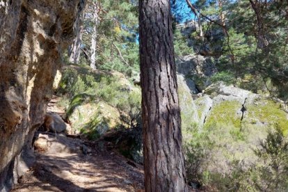 Ruta de las cascadas de Duruelo de la Sierra (Soria). HDS