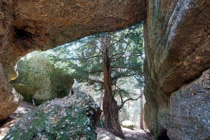 Ruta de las cascadas de Duruelo de la Sierra (Soria). HDS