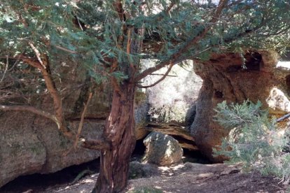 Ruta de las cascadas de Duruelo de la Sierra (Soria). HDS
