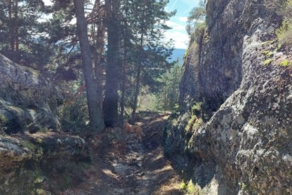 Ruta de las cascadas de Duruelo de la Sierra (Soria). HDS