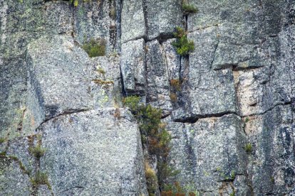 LXV Travesía a nado a la Laguna negra - MARIO TEJEDOR (51)