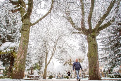 La nieve da paso a una mañana de fotos invernales. MARIO TEJEDOR (11)