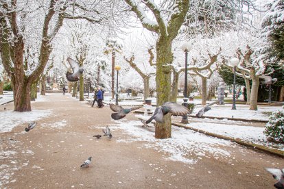 La nieve da paso a una mañana de fotos invernales. MARIO TEJEDOR (5)