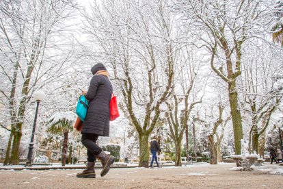 La nieve da paso a una mañana de fotos invernales. MARIO TEJEDOR (8)