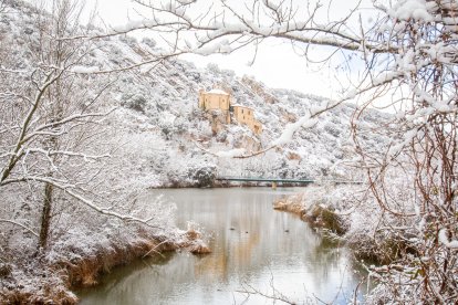 La nieve da paso a una mañana de fotos invernales. MARIO TEJEDOR (52)