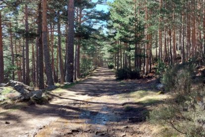 Ruta de las cascadas de Duruelo de la Sierra (Soria). HDS
