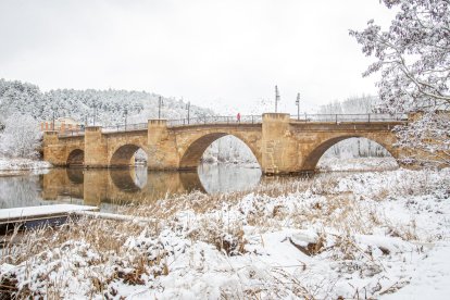La nieve da paso a una mañana de fotos invernales. MARIO TEJEDOR (37)