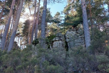 Ruta de las cascadas de Duruelo de la Sierra (Soria). HDS