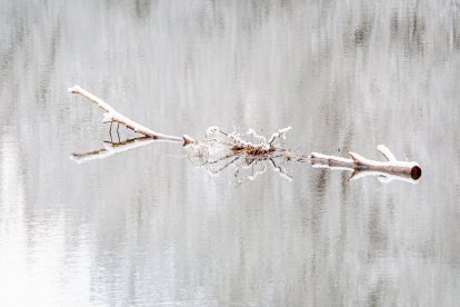 La nieve da paso a una mañana de fotos invernales. MARIO TEJEDOR (48)