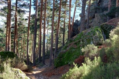 Ruta de las cascadas de Duruelo de la Sierra (Soria). HDS