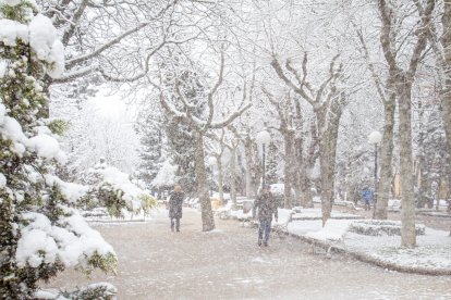La nieve da paso a una mañana de fotos invernales. MARIO TEJEDOR (16)