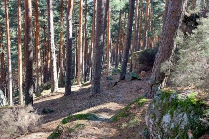 Ruta de las cascadas de Duruelo de la Sierra (Soria). HDS