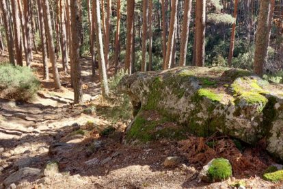 Ruta de las cascadas de Duruelo de la Sierra (Soria). HDS