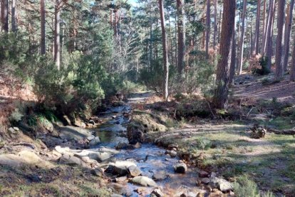 Ruta de las cascadas de Duruelo de la Sierra (Soria). HDS