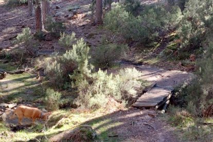 Ruta de las cascadas de Duruelo de la Sierra (Soria). HDS