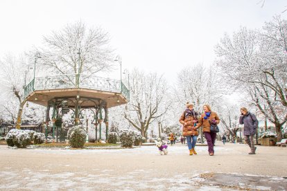 La nieve da paso a una mañana de fotos invernales. MARIO TEJEDOR (22)