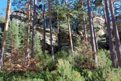 Ruta de las cascadas de Duruelo de la Sierra (Soria). HDS