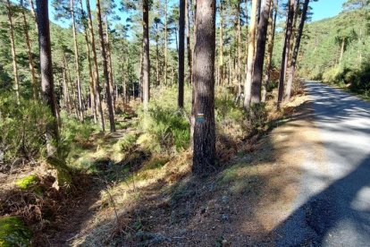 Ruta de las cascadas de Duruelo de la Sierra (Soria). HDS
