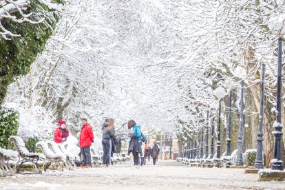 La nieve da paso a una mañana de fotos invernales. MARIO TEJEDOR (26)