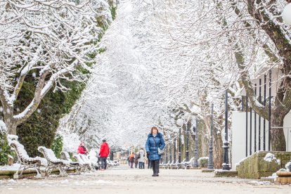 La nieve da paso a una mañana de fotos invernales. MARIO TEJEDOR (25)