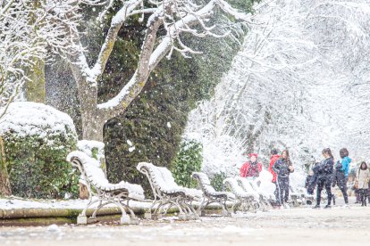 La nieve da paso a una mañana de fotos invernales. MARIO TEJEDOR (27)