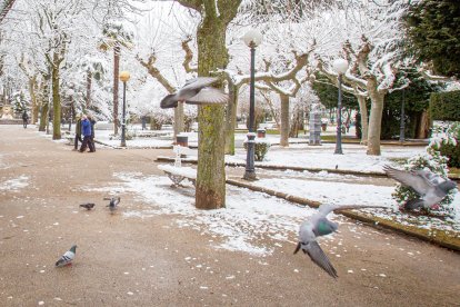 La nieve da paso a una mañana de fotos invernales. MARIO TEJEDOR (6)
