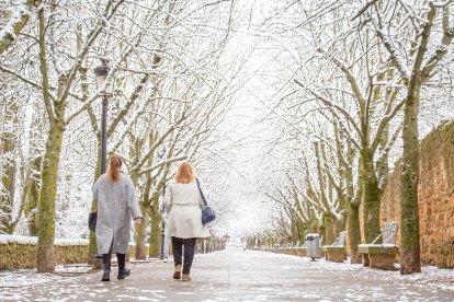 La nieve da paso a una mañana de fotos invernales. MARIO TEJEDOR (34)