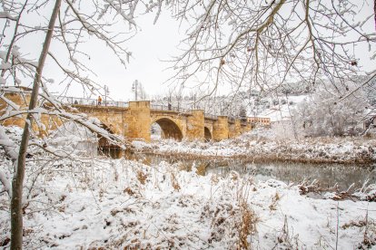 La nieve da paso a una mañana de fotos invernales. MARIO TEJEDOR (36)