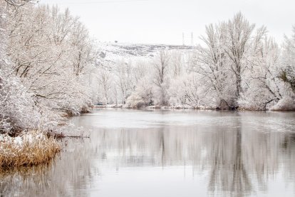 La nieve da paso a una mañana de fotos invernales. MARIO TEJEDOR (41)