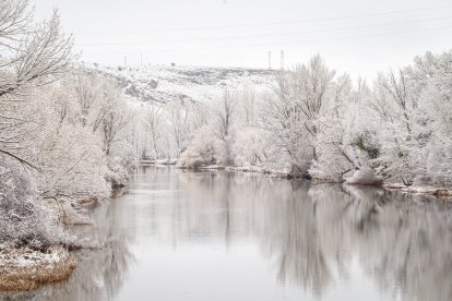 La nieve da paso a una mañana de fotos invernales. MARIO TEJEDOR (45)