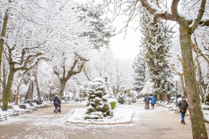 La nieve da paso a una mañana de fotos invernales. MARIO TEJEDOR (14)