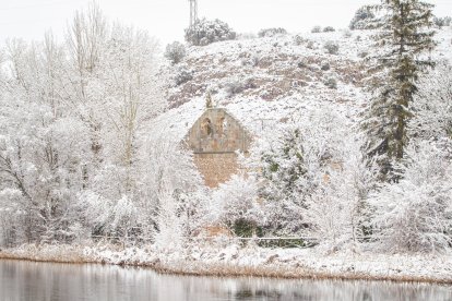 La nieve da paso a una mañana de fotos invernales. MARIO TEJEDOR (43)