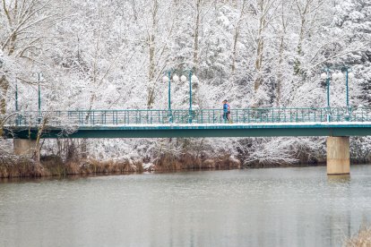 La nieve da paso a una mañana de fotos invernales. MARIO TEJEDOR (57)