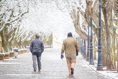 La nieve da paso a una mañana de fotos invernales. MARIO TEJEDOR (58)
